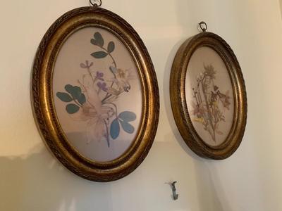 Vintage pair of framedpressed flowers