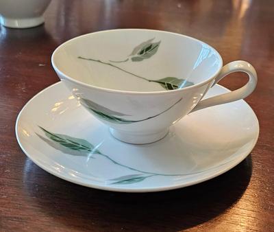 Mikasa China set "Spring Oaks"