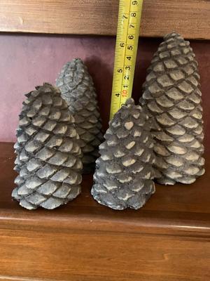 Decorative pine cones