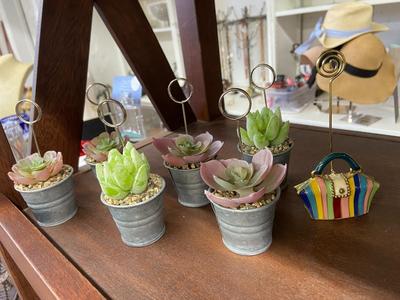 Farm House Mercantile Card and Note Display Lot