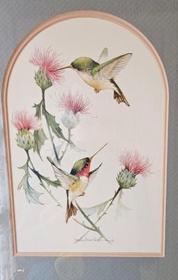 Hummingbirds 4 framed prints signed and numbered