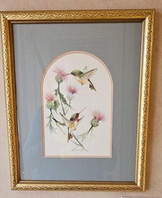 Hummingbirds 4 framed prints signed and numbered