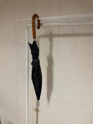 GARMENT RACK, UMBRELLA AND AB SLIDE