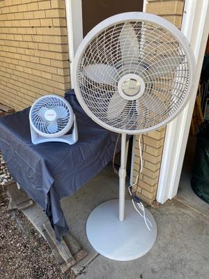 SUMMER IS SNEAKING UP ON US!