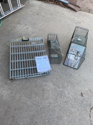 ANIMAL PLAY PEN AND LIVE TRAPS