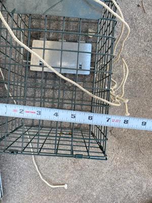 ANIMAL PLAY PEN AND LIVE TRAPS