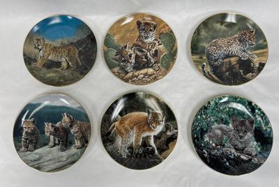 Small wonder of the Wild collector plates from Hamilton Mint 6 plates with baby wild cats