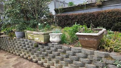 Assortment of Planters (BY-DW)