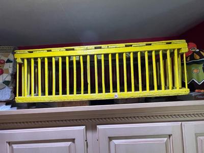 Painted Chicken Carrier