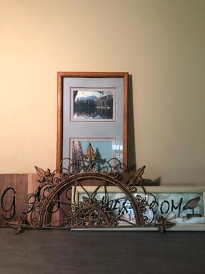 LOT 88D: Home Decor, Signs & Wildlife Photography