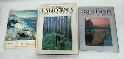 3 vintage coffee table books on California