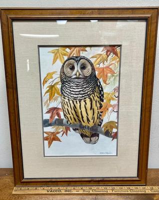 Framed Art Owl in tree by William F Pyburn 17 x 22 inches