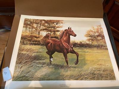 "Running Free" Print Signed McDonald, Signed and Numbered