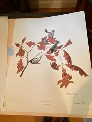 "Black-capped Chickadees" Print by Richard Sloane, Signed and Numbered