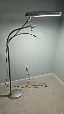 Ott Lite with Magnifier and Clip (B1-DW)