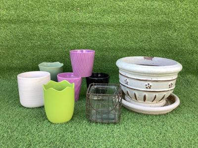 143 Lot of Small Orchid Pts with Large White Glazed Terracotta Pot with Saucer