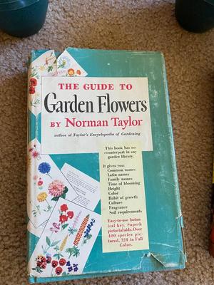Gardening Essential’s