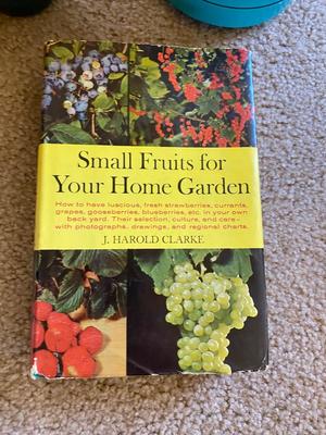 Gardening Essential’s