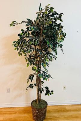 6 1/2 Feet Tall Artificial Tree