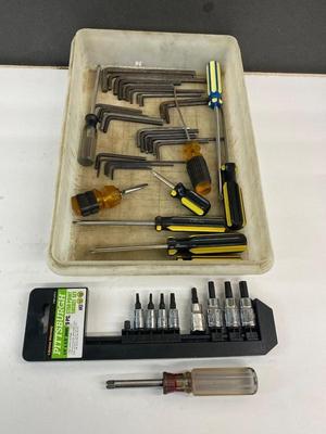 Torx Sockets, Allen Wrenches, and Screwdrivers