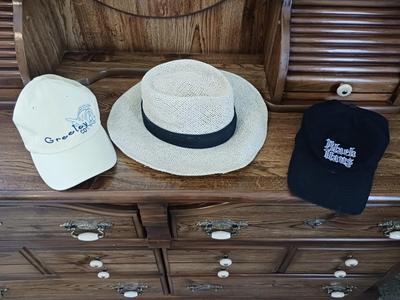 MEN'S PANAMA STYLE HAT AND 2 BALL CAPS M/L