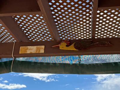 3 SIGNS AND WOODEN CHICKEN