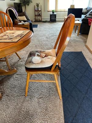 DINING TABLE WITH 4 CHAIRS