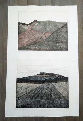 Peter Redecker Etchings 19.5x15.5  $200 pair