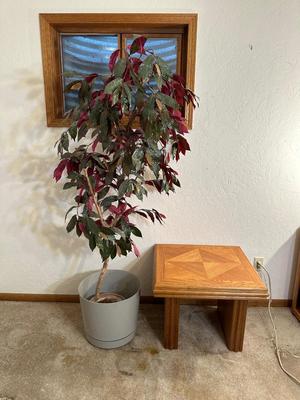 SOLID WOOD END TABLE AND A FAUX TREE