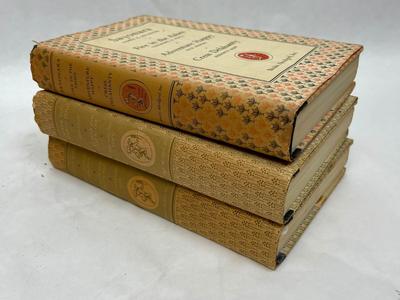 Lot of 3 Hardcover books with abridged stories