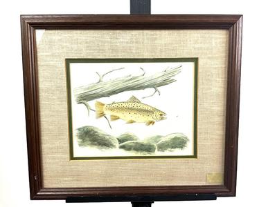 1088 Vintage Original Watercolor of Fish Signed Hubbard