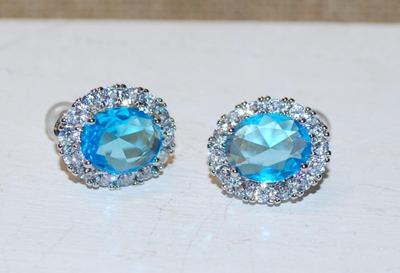 Blue Single Center Stone Earrings Set with Clear Stone Surround on a Post Back