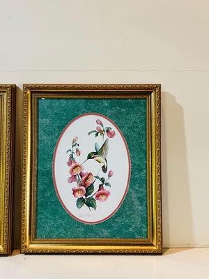 Carolyn Shores Wright Signed & Numbered Lithographs Hummingbird Pictures