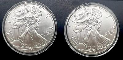 Lot of 2- 2017 1 oz American Silver Eagle Coins
