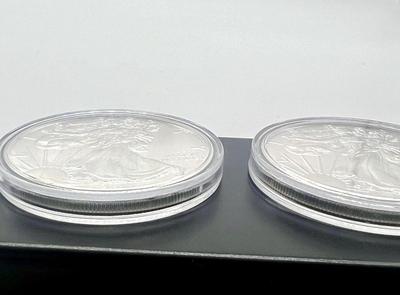 Lot of 2- 2017 1 oz American Silver Eagle Coins