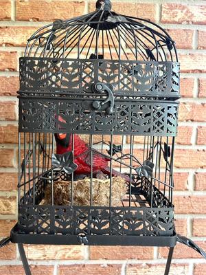Victorian Decorative Metal Birdcage