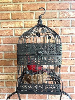 Victorian Decorative Metal Birdcage