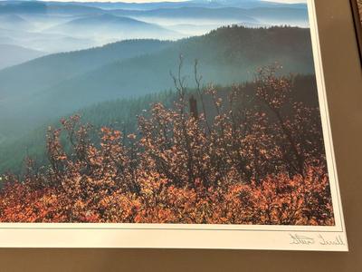 FRAMED PHOTOS BY STEVE TERRILL