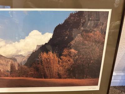 FRAMED PHOTOS BY STEVE TERRILL