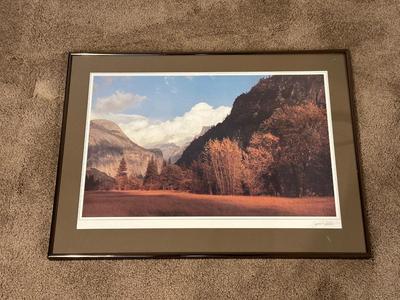 FRAMED PHOTOS BY STEVE TERRILL