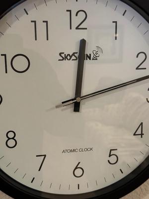 WRAPPED CANVAS FAMILY OF BIRDS & SKYSCAN ATOMIC CLOCK