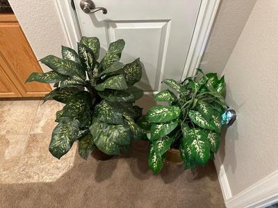 2 VERY HEALTHY FAUX PLANTS IN POTS