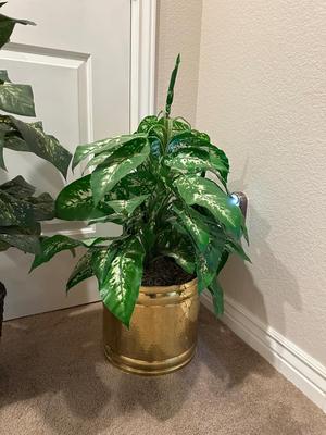 2 VERY HEALTHY FAUX PLANTS IN POTS