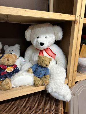 PLUSH TEDDY BEARS