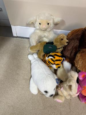 A VARIETY OF VERY CUTE, PLUSH ANIMALS