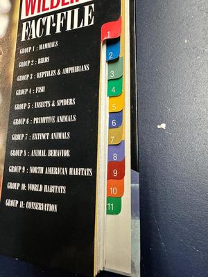 SPORTS AND WILDLIFE FACT BOOKS PLUS DINOSAUR TRADING CARDS