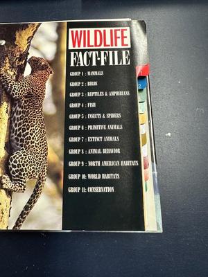 SPORTS AND WILDLIFE FACT BOOKS PLUS DINOSAUR TRADING CARDS