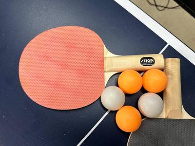 FOLDING PING PONG TABLE ON WHEELS WITH ALL ACCESSORIES INCLUDED