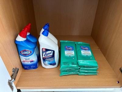 TOILET BOWL CLEANER AND CLOROX WIPES
