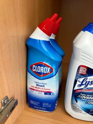 TOILET BOWL CLEANER AND CLOROX WIPES